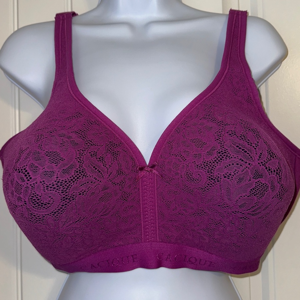 42D burgundy lace cotton lightly lined no wire bra Lane Bryant plus size